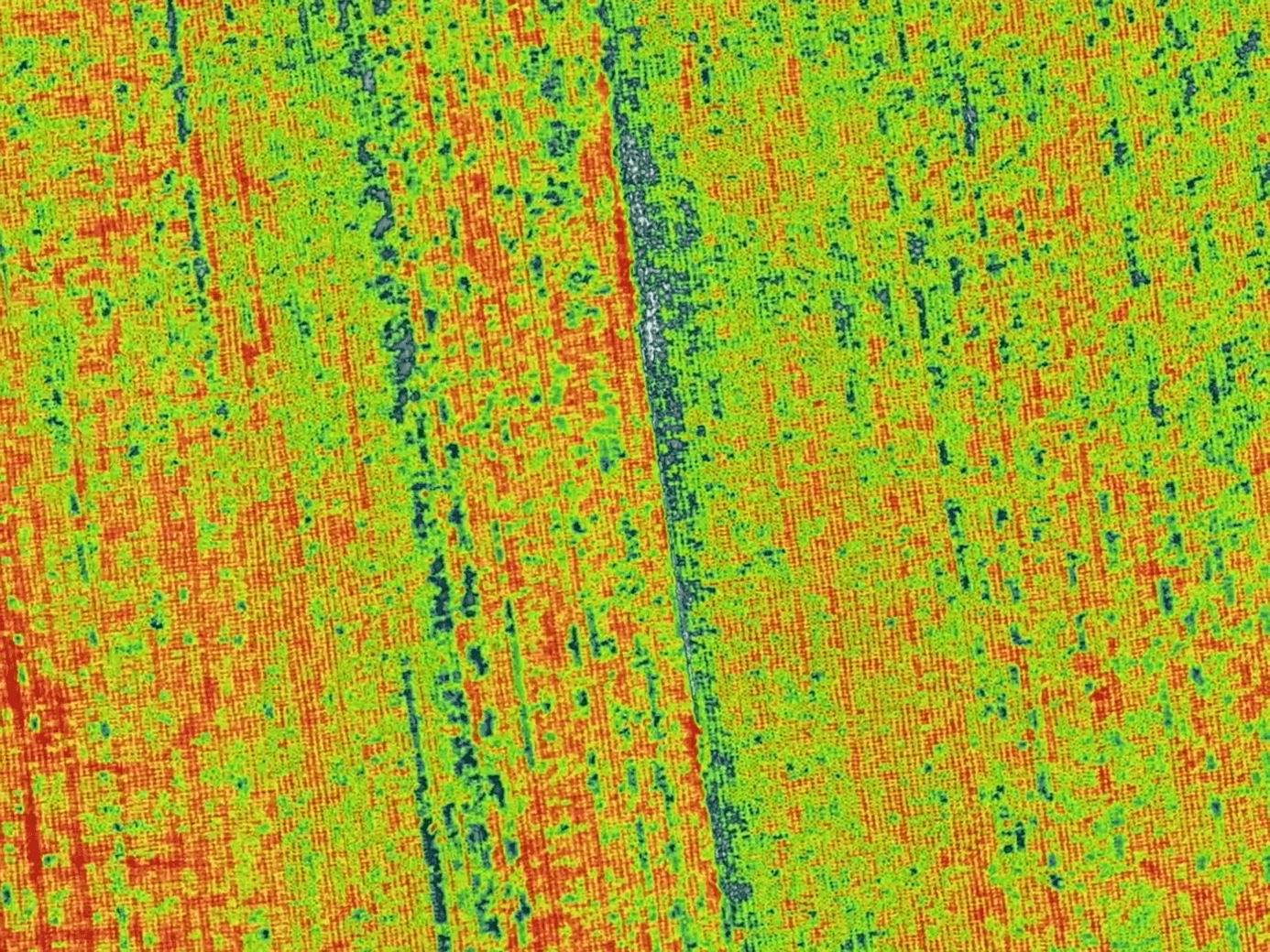 DJI Terra